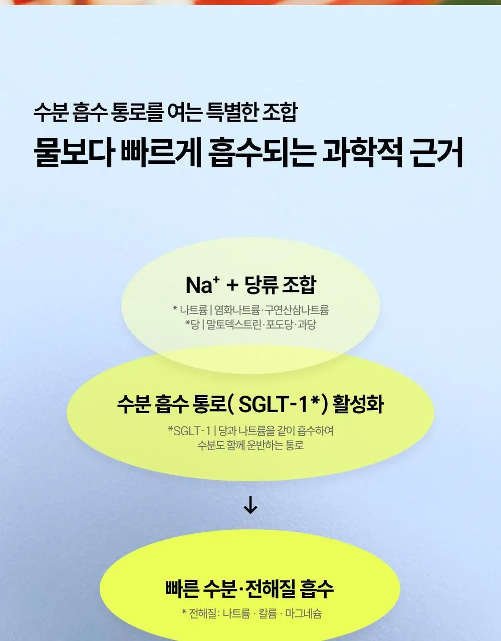 [수분 보충] 베가베리 이온 플러스 상세페이지 11